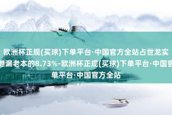 欧洲杯正规(买球)下单平台·中国官方全站占世龙实业当期泄漏老本的8.73%-欧洲杯正规(买球)下单平台·中国官方全站