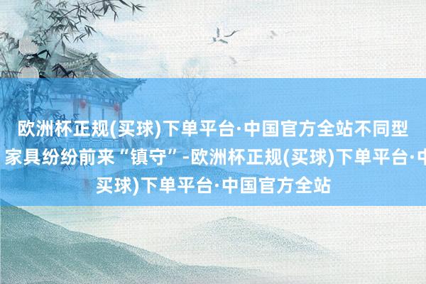 欧洲杯正规(买球)下单平台·中国官方全站不同型号的“大咖”家具纷纷前来“镇守”-欧洲杯正规(买球)下单平台·中国官方全站