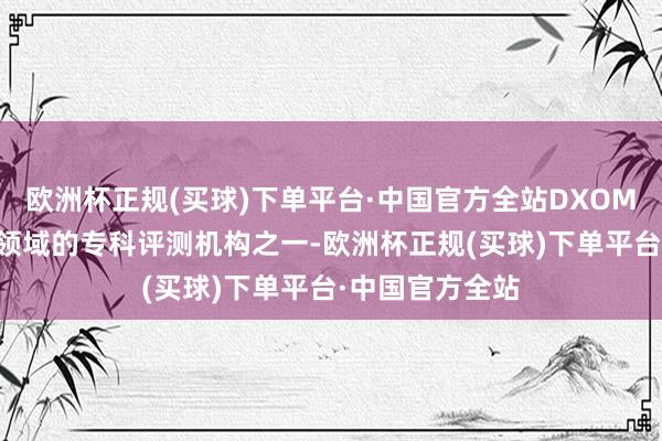 欧洲杯正规(买球)下单平台·中国官方全站DXOMARK作为影像领域的专科评测机构之一-欧洲杯正规(买球)下单平台·中国官方全站