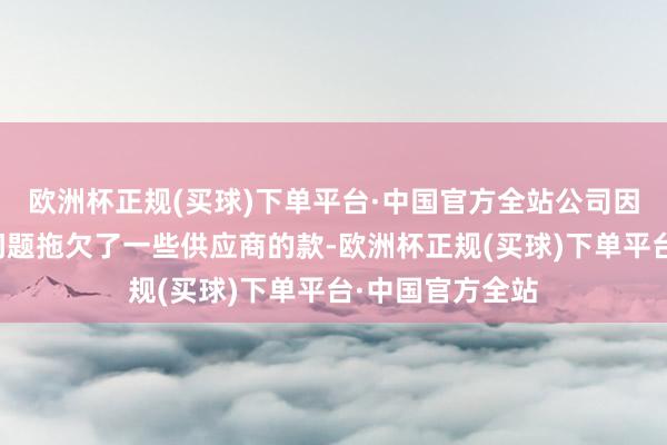 欧洲杯正规(买球)下单平台·中国官方全站公司因资金链出现大问题拖欠了一些供应商的款-欧洲杯正规(买球)下单平台·中国官方全站