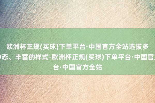 欧洲杯正规(买球)下单平台·中国官方全站选拔多论坛神态、丰富的样式-欧洲杯正规(买球)下单平台·中国官方全站