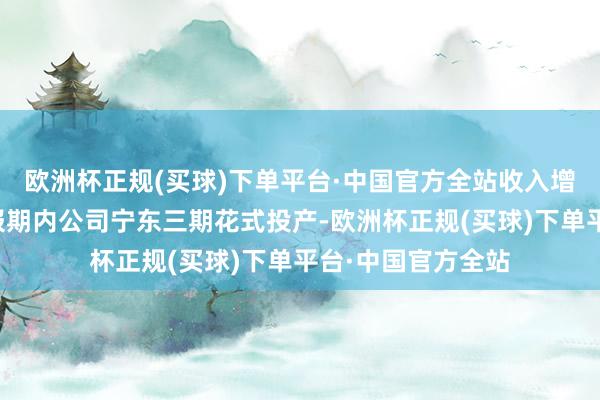 欧洲杯正规(买球)下单平台·中国官方全站收入增长主要原因是申报期内公司宁东三期花式投产-欧洲杯正规(买球)下单平台·中国官方全站