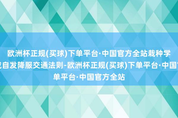 欧洲杯正规(买球)下单平台·中国官方全站栽种学生们养成自发降服交通法则-欧洲杯正规(买球)下单平台·中国官方全站