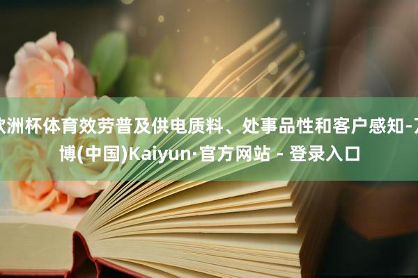 欧洲杯体育效劳普及供电质料、处事品性和客户感知-万博(中国)Kaiyun·官方网站 - 登录入口
