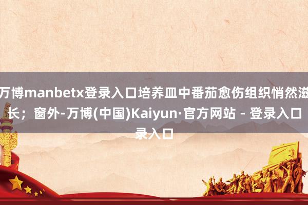 万博manbetx登录入口培养皿中番茄愈伤组织悄然滋长；窗外-万博(中国)Kaiyun·官方网站 - 登录入口